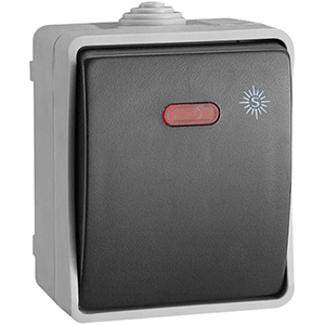 Pulsador con luz 10A